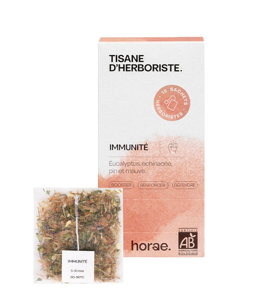 Fatigue hivernale : quelles plantes infuser pour retrouver de la vitalité au naturel ?