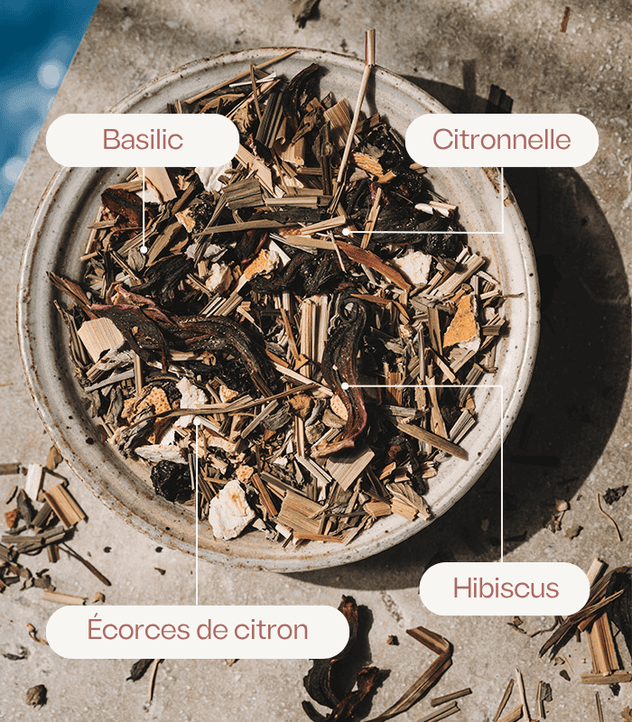 Composition florale à infuser  - Jardin d'Été Bio 60g vrac Horae – vue 2