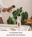 Bâton de fumigation Purification - Encens naturel Horae